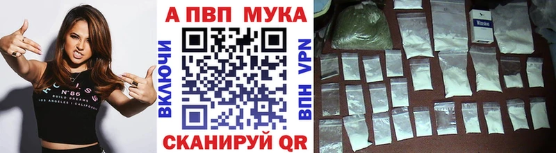 A PVP СК КРИС Элиста