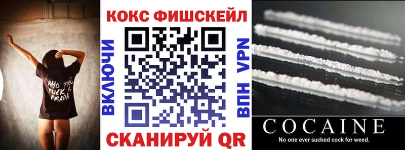 Купить где  Элиста  Кокаин FishScale 