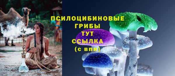 a pvp Лагань