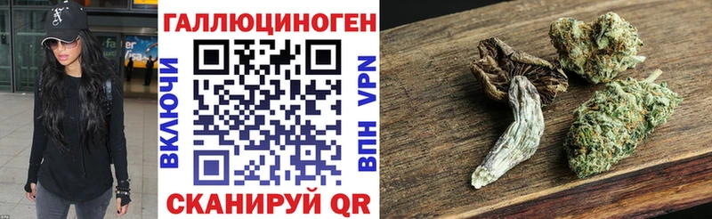 Псилоцибиновые грибы Psilocybine cubensis  Купить где  Элиста 