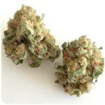 Шишки "White Widow"  (Белая вдова)  Гидропоника -  Бошка VHQ в Элисте